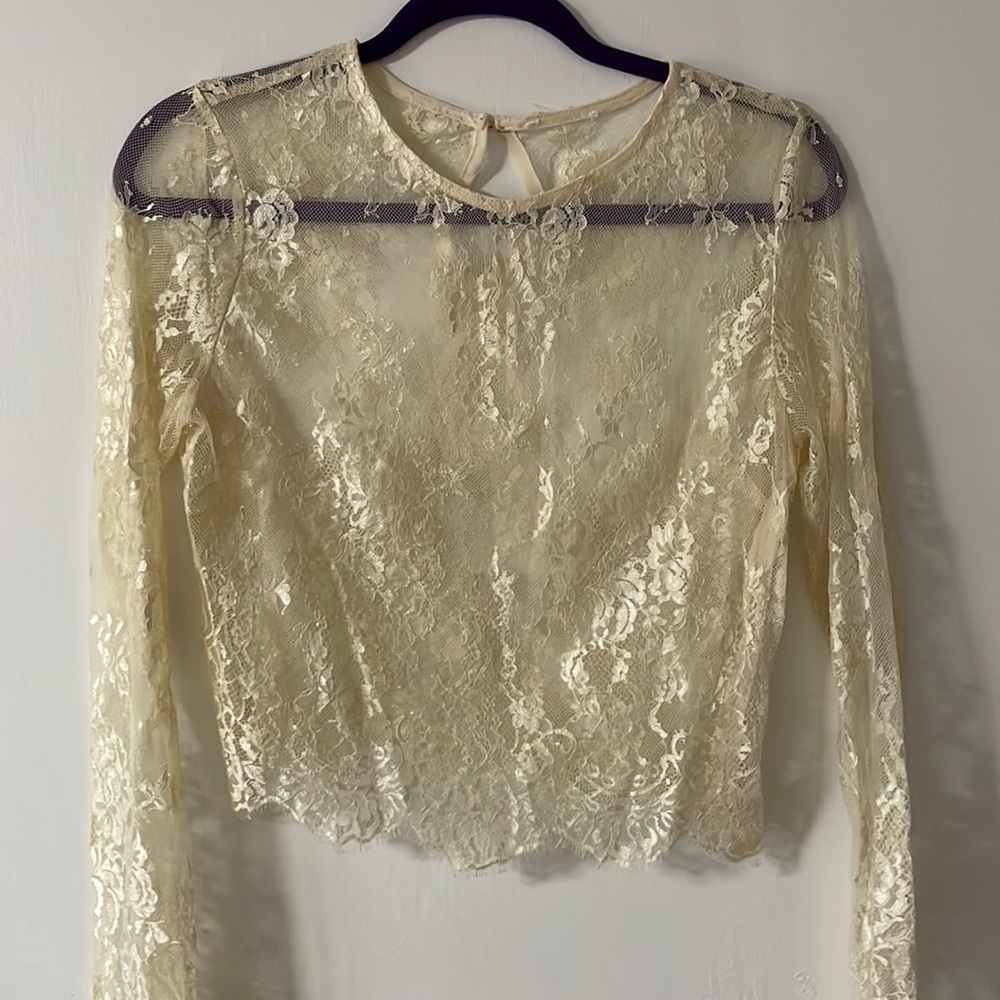 Sheer lace long sleeve crop top